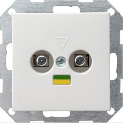 Розетка двойная Gira System 55 для выравнивания потенциалов чисто-белый шелковисто-матовый 040503