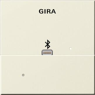 Лицевая панель Apple Lightning Gira System 55 для вставки док-станции кремовый глянцевый 228701