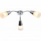 Потолочная люстра Rivoli Raquel 9135-303 Б0054894 - фото №1