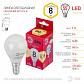 Лампа светодиодная ЭРА E14 8W 2700K матовая LED P45-8W-827-E14 R Б0050697 - фото №2