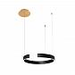 Подвесной светодиодный светильник Loft IT Ring 10025/400 Black - фото №1