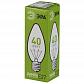 Лампа накаливания ЭРА E27 40W 2700K прозрачная ЛОН ДС40-230-E27-CL C0039811 - фото №2