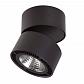 Потолочный светодиодный светильник Lightstar Forte Muro 214837 - фото №1