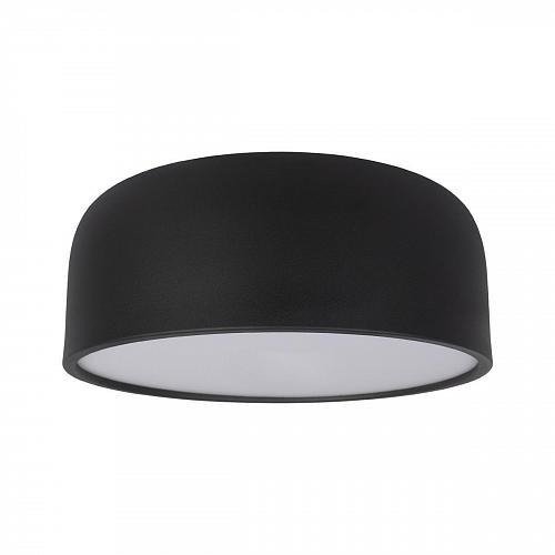 Потолочный светодиодный светильник Loft IT Axel 10201/350 Black