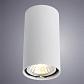 Потолочный светильник Arte Lamp A1516PL-1WH - фото №2