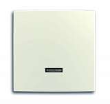 Лицевая панель ABB 2CKA006599A2995