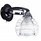 Бра Arte Lamp Ginevra A1604AP-1BK - фото №1
