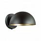 Бра Lumion Lofti Kent 5293/1W - фото №1