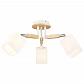 Потолочная люстра IMEX MD.4507-3-S WH+CH - фото №1