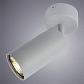 Спот Arte Lamp A3216PL-1GY - фото №2