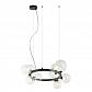 Подвесная люстра Lumien Hall Lovrenc LH4125/11P-BK-CL - фото №1