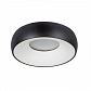 Потолочный светильник Arte Lamp Heze A6665PL-1BK - фото №1