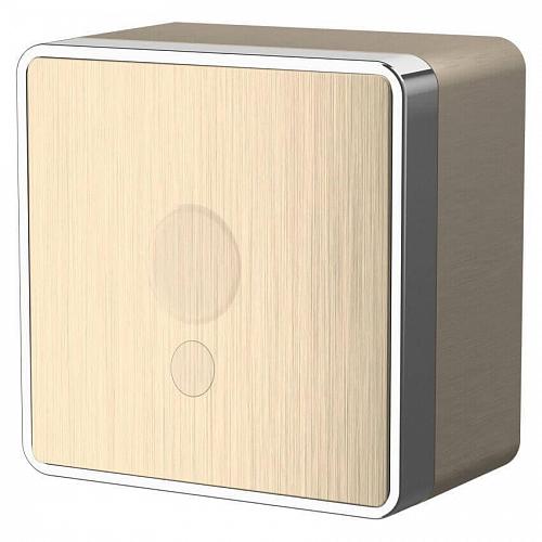 Вывод кабеля Werkel Gallant шампань рифленый WL15-16-01 4690389129698