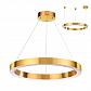 Подвесной светодиодный светильник Odeon Light L-vision Brizzi 3885/35LG - фото №1