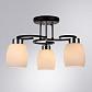 Потолочная люстра Arte Lamp Krit A4505PL-3BK - фото №3