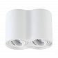 Потолочный светильник Crystal Lux CLT 410C2 WH - фото №1