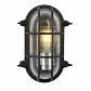 Уличный настенный светильник Favourite Pointer 3022-1W - фото №1
