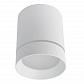Потолочный светодиодный светильник Arte Lamp Elle A1949PL-1WH - фото №1