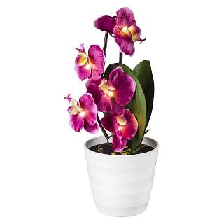 Декоративные настольные лампы цвета фуксии