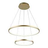 Подвесной светодиодный светильник Aployt Lunet APL.014.03.60