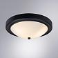 Потолочный светильник Arte Lamp James A4049PL-3BK - фото №2