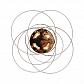 Подвесная люстра ST Luce Ricolli SL1130.203.05 - фото №3