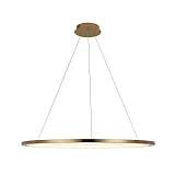 Подвесной светодиодный светильник Loft IT Ring 10014XL