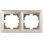 Рамка 2-постовая ЭРА Intro Solo шампань 4-502-04 Б0043413 - фото №1