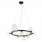 Подвесная люстра Lumien Hall Lovrenc LH4125/14P-BK-CL - фото №1
