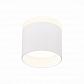 Потолочный светодиодный светильник ST Luce Panaggio ST102.542.09 - фото №1