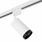 Трековый светильник Lightstar Rullo (214436+592056+203437) R1T4363437 - фото №1