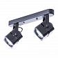 Потолочный светильник Arte Lamp A1315PL-2BK - фото №1