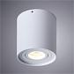 Потолочный светильник Arte Lamp Galopin A1460PL-1WH - фото №2