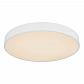 Потолочный светодиодный светильник Globo Leanara 41756-36W - фото №1