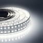 Светодиодная лента Apeyron 38W/m 240LED/m 2835SMD холодный белый 5M 00-305 - фото №1