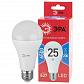 Лампа светодиодная ЭРА E27 25W 6500K матовая LED A65-25W-865-E27 R Б0048011 - фото №3