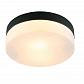 Потолочный светильник Arte Lamp Aqua-Tablet A6047PL-2BK - фото №1