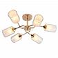 Потолочная люстра Rivoli Henriette 9071-306 Б0051979 - фото №1