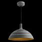 Подвесной светильник Arte Lamp Loft A5026SP-1GY - фото №3
