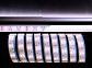 Лента светодиодная Deko-Light 5050-2x30-12V-3000K-7000K-3m 621362 - фото №1