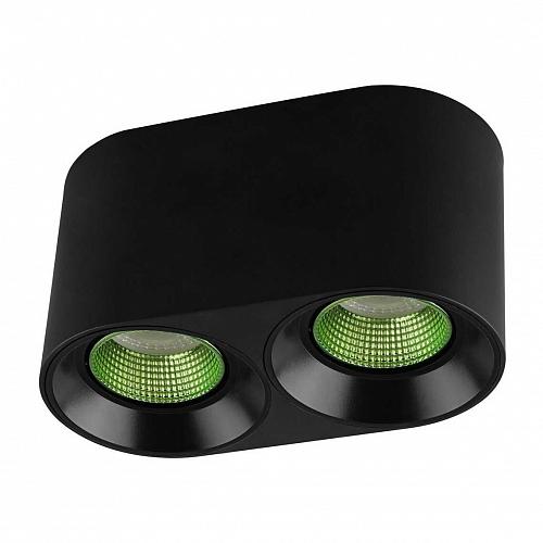 Потолочный светильник Denkirs DK3020BGR DK3096-BK+GR