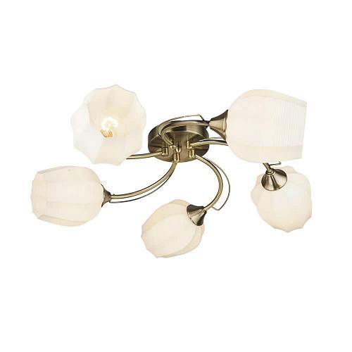 Потолочная люстра Seven Fires Shajena 66593.01.05.05