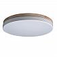 Потолочный светодиодный светильник Loft IT Axel 10001/36 white - фото №1