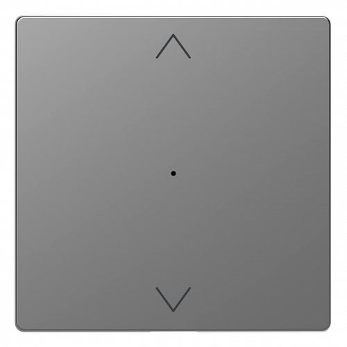 Клавиша одинарная Schneider Electric Merten D-Life MTN5215-6036