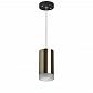 Подвесной светильник Lightstar Rullo (214431+590057+202430) RP43130 - фото №1