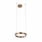 Подвесной светодиодный светильник Loft IT Ring 10013S - фото №1