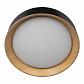 Потолочный светодиодный светильник Loft IT Coin 10202 Black - фото №2