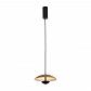 Подвесной светильник Lumien Hall Arta 8007/1PS-WD - фото №1