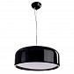 Подвесной светильник Arte Lamp Paleolus A3401SP-3BK - фото №1