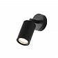 Уличный настенный светильник Favourite Pharus 2892-1W - фото №1